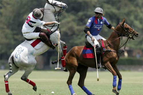 Mundial de Polo 2011 Mundial de Polo 2011