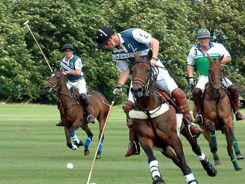 Mundial de Polo Mundial de Polo