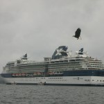 Celebrity Infinity: Crucero por la Patagonia