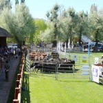 Exposición Rural de Palermo 2011