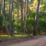 Argentina para veranear