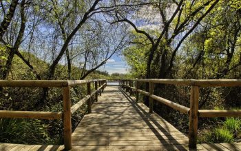 Lee más sobre el artículo Turismo ecológico