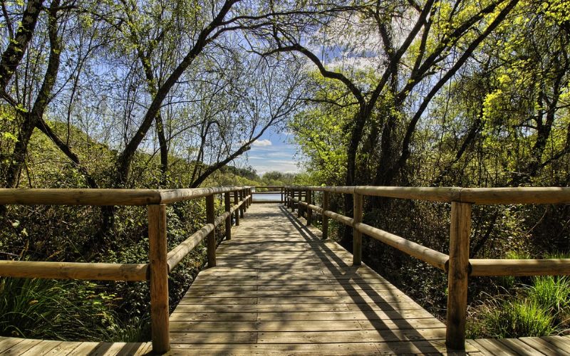 Lee más sobre el artículo Turismo ecológico