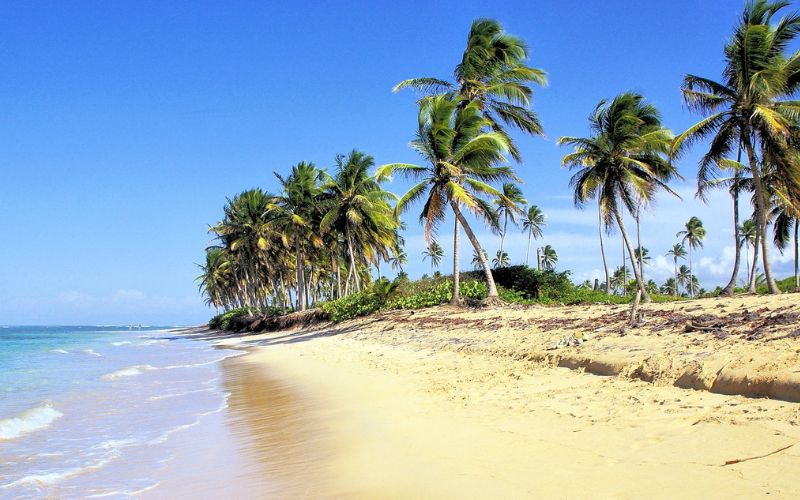 Lee más sobre el artículo Playas en Punta Cana