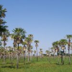 Turismo en Chaco