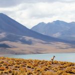 Turismo en Chile