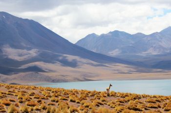 Lee más sobre el artículo Turismo en Chile