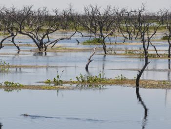 Lee más sobre el artículo Turismo en Formosa