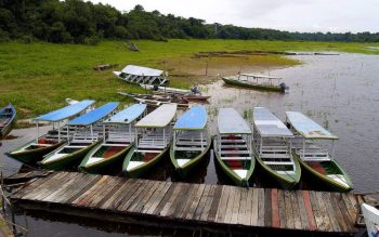 Lee más sobre el artículo Descubriendo el Amazonas de Perú