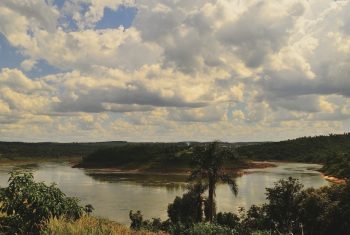 Lee más sobre el artículo Visitar el Río Paraná en la ciudad de Rosario