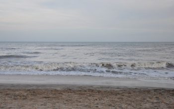 Lee más sobre el artículo Ciudad de Pinamar