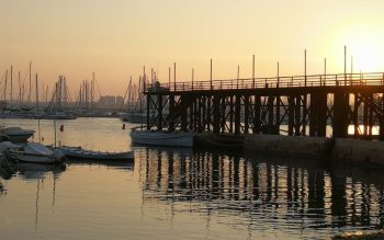 Lee más sobre el artículo La ciudad de Torrevieja en España