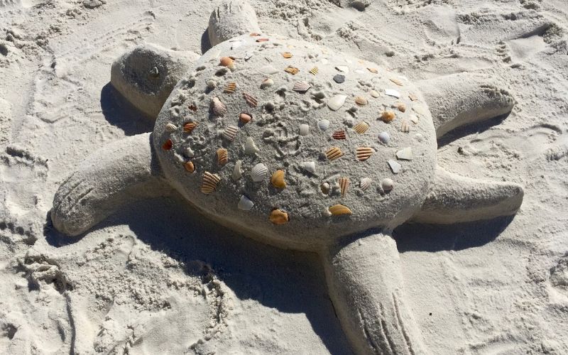 Lee más sobre el artículo Playa Tortugas en Casma en Perú