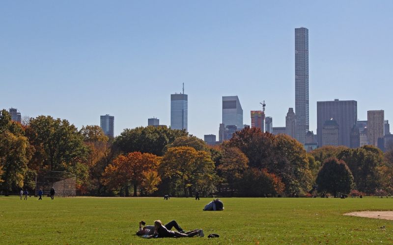 Lee más sobre el artículo Un paseo por Central Park