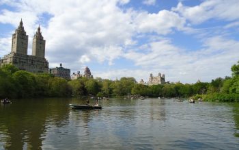 Lee más sobre el artículo El Central Park