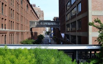 Lee más sobre el artículo Parque High Line en Nueva York