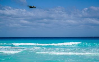 Lee más sobre el artículo 10 planes imperdibles qué hacer en Cancún