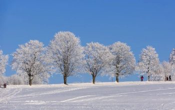 Lee más sobre el artículo Salón internacional de turismo de invierno 2012