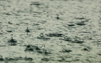 Lee más sobre el artículo ¿Qué hacer en Cancún en un día con lluvia? Opciones para divertirse en días lluviosos en Cancún