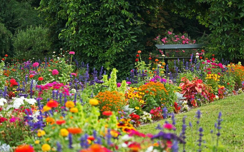 Lee más sobre el artículo El Parque de la Bagatelle en Paris