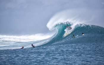 Lee más sobre el artículo Turismo por las playas de Australia, un paraíso para los surfistas