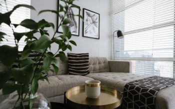 Lee más sobre el artículo 5 hoteles en la ciudad con una vista impresionante