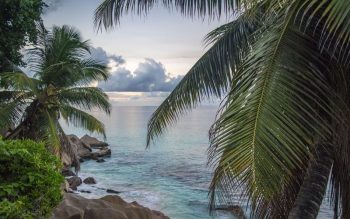 Lee más sobre el artículo Que visitar en las islas Seychelles