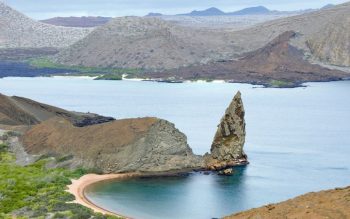 Lee más sobre el artículo Las Islas Galápagos