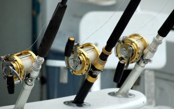 Lee más sobre el artículo Turismo de pesca deportiva en Paraguay