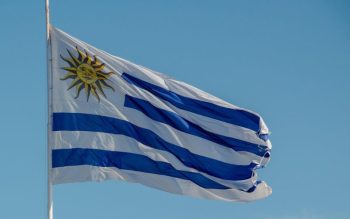 Lee más sobre el artículo Complejos termales de Uruguay