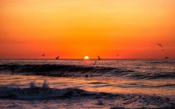 Lee más sobre el artículo Turismo en La Riviera Nayarit