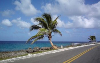 Lee más sobre el artículo Visitar la isla de San Andrés en Colombia