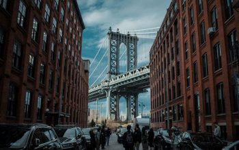 Lee más sobre el artículo Brooklyn, un imán para los inmigrantes