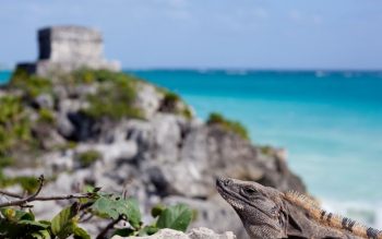 Lee más sobre el artículo Turismo en Cancún en México