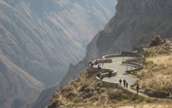 Lee más sobre el artículo Cañón del Colca en Arequipa
