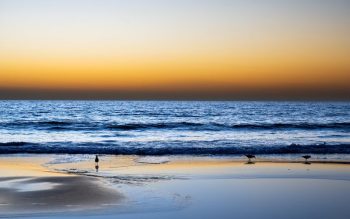 Lee más sobre el artículo Viajes y turismo Mar del Plata