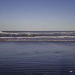 ¿Qué ver en Mar del Plata en Argentina?