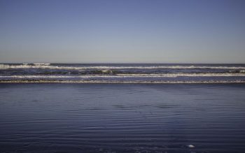 Lee más sobre el artículo ¿Qué ver en Mar del Plata en Argentina?