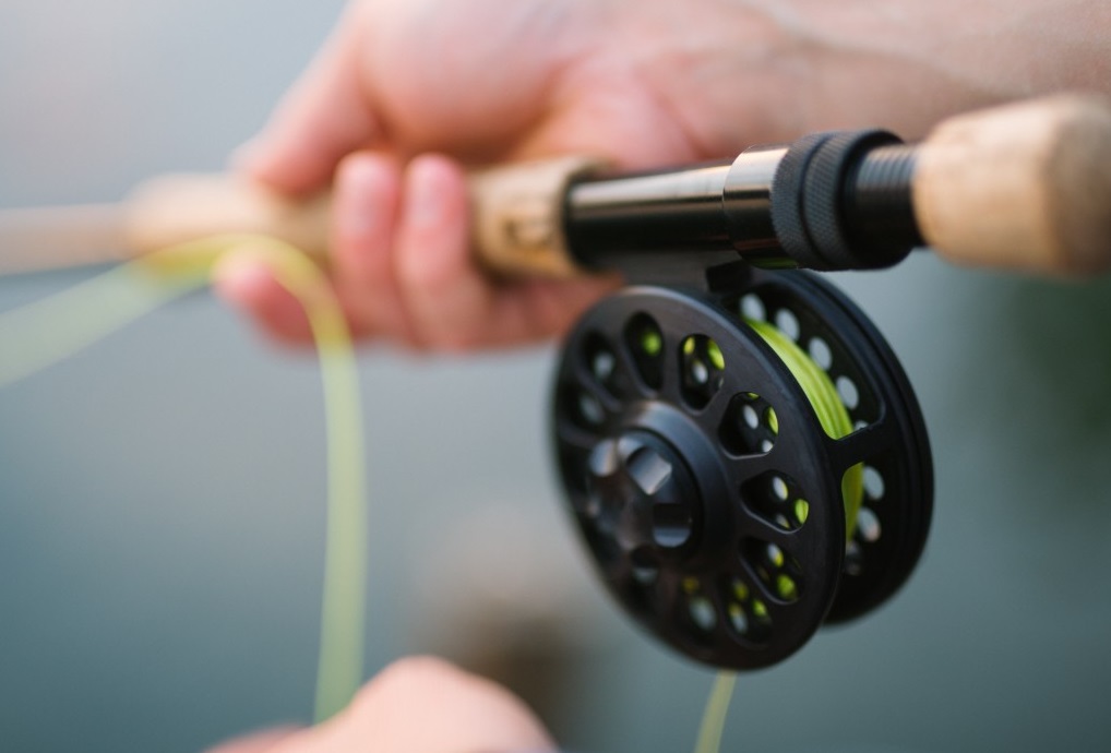 Lee más sobre el artículo Actividades de pesca en Alicante