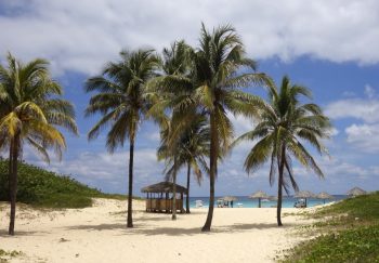 Lee más sobre el artículo ¿Qué ver en Cuba? – Descubre las mejores playas de Cuba