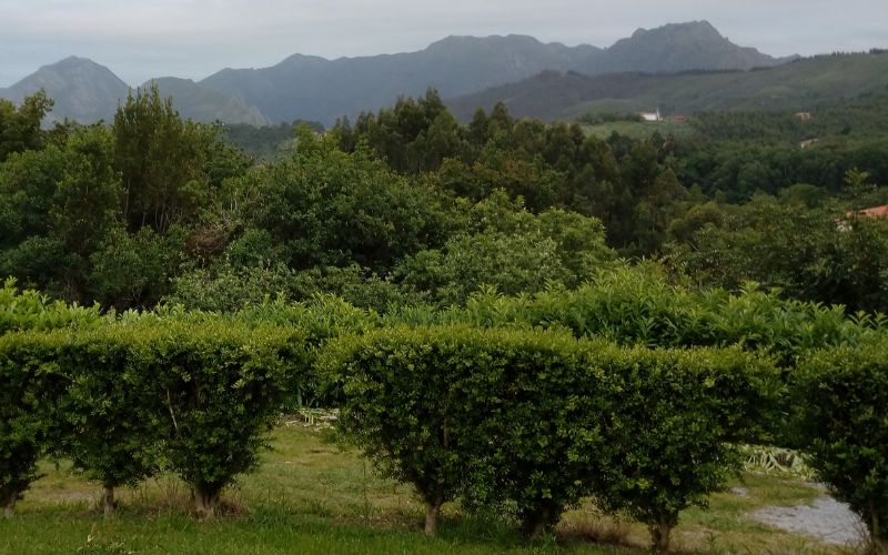 Lee más sobre el artículo Turismo rural en Asturias