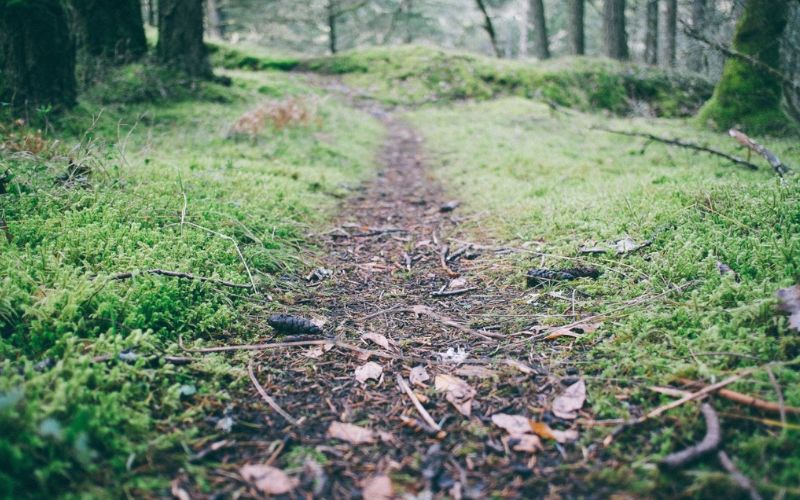 Lee más sobre el artículo Turismo rural en Azpeitia