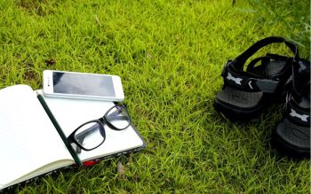 Lee más sobre el artículo ¿Cómo utilizar un cuaderno de campo agrícola digital?