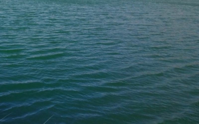 Lee más sobre el artículo El embalse de San Juan en Madrid