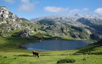 Lee más sobre el artículo Asturias: Paraíso natural – Rutas que hacer en Asturias