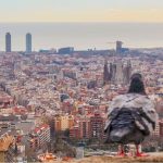 Descubre el relax del CBD en tus viajes: Explora el mundo CBD-Friendly en España
