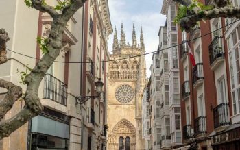 Lee más sobre el artículo La experiencia Burgalesa – Un viaje gastronómico y vitivinícola en Burgos