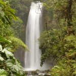 Qué ver en ciudad de Heredia – La maravilla natural de Costa Rica