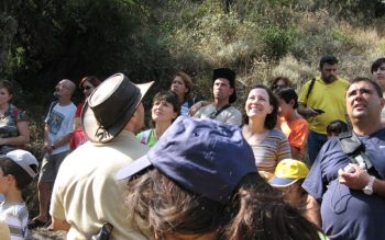 Lee más sobre el artículo Descubre Toledo en una experiencia única de ecoturismo a través de la senda del río Tajo
