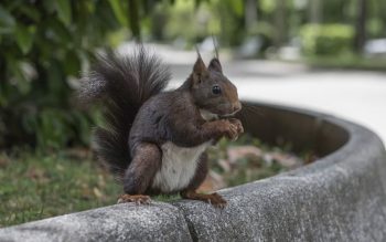 Lee más sobre el artículo Descubrir la grandeza en lo pequeño – Las ventajas de vivir en una ciudad con pocos habitantes como Soria